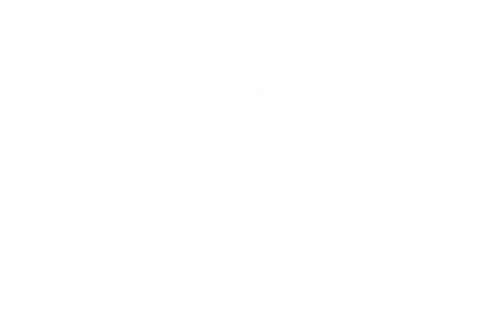 Logo Flexie modifié